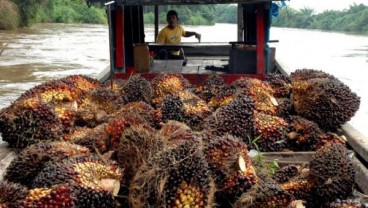 3.019 Petani Plasma Cargill Raih Sertifikat RSPO